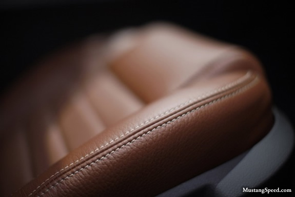 2010 Mustang Leather